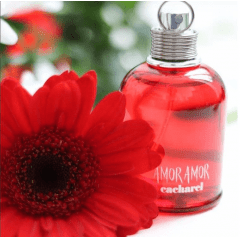 Perfume Amor Amor Feminino Eau de Toilette