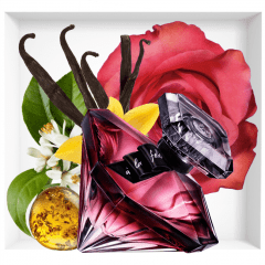 La Nuit Trésor À La Folie Feminino Eau de Parfum