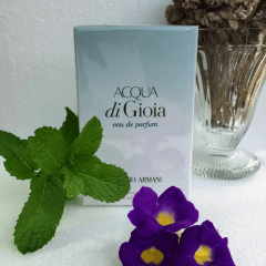 Perfume Acqua di Gioia Feminino Eau de Parfum